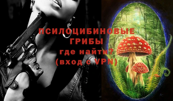 гашик Армянск